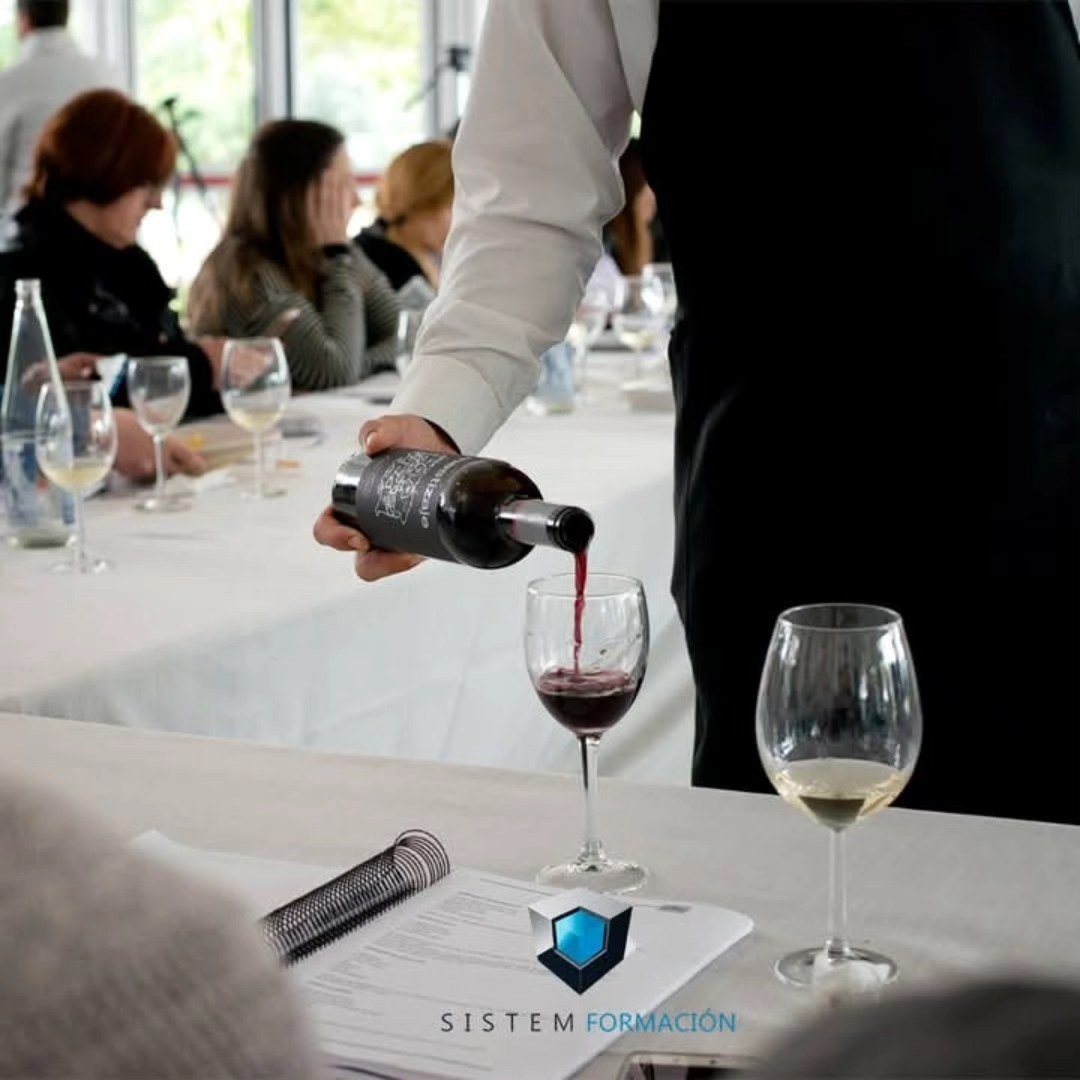 Formación de sala y vinos para hostelería